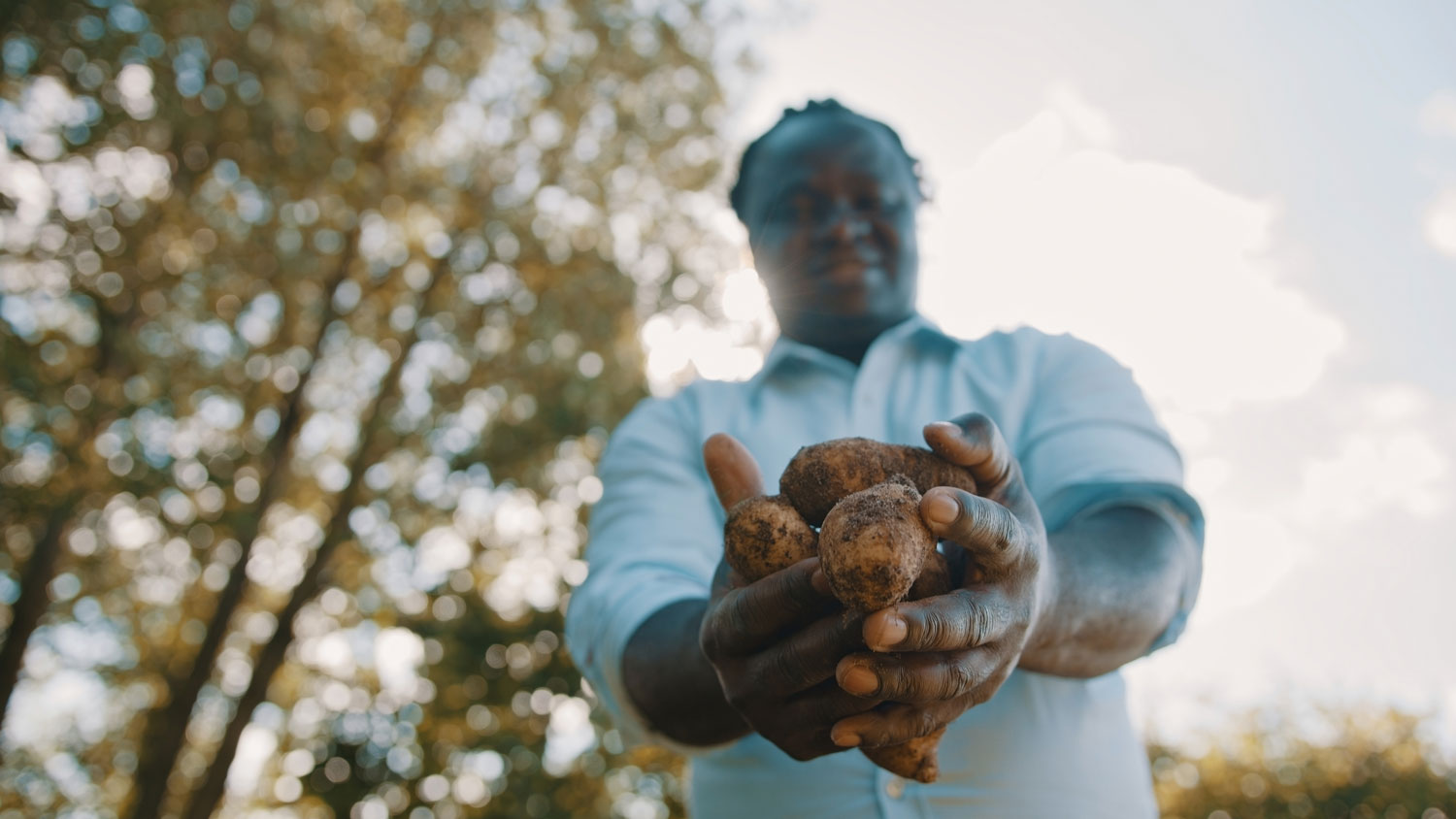 Leia mais sobre o artigo Cultivo de alimentos e redução da insegurança alimentar nos quilombos
